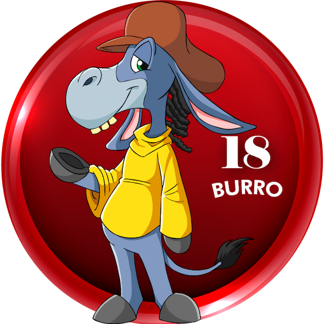 18-BURRO