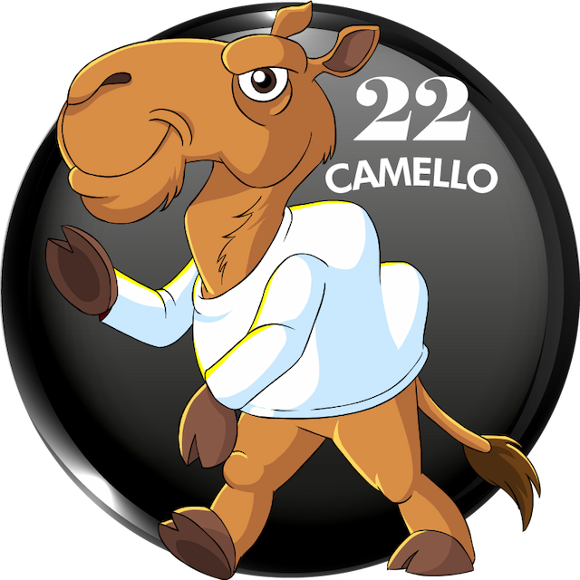 22-CAMELLO