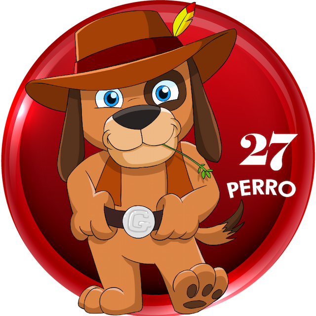 27-PERRO