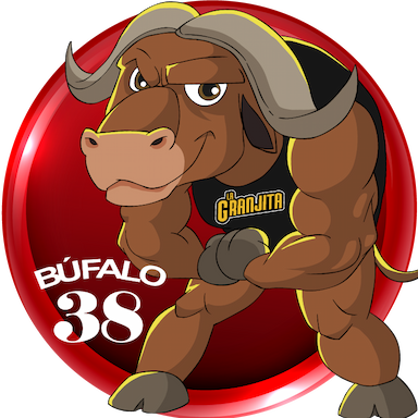 38-BUFALO